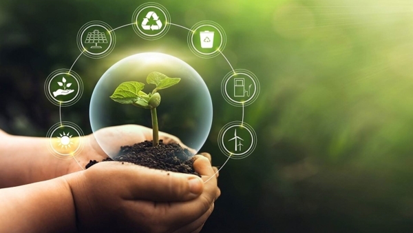 دور القطاع الخاص في مواجهة التغير المناخي