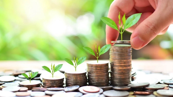 قاموس «First».. ماذا يُقصد بالتمويل الأخضر؟