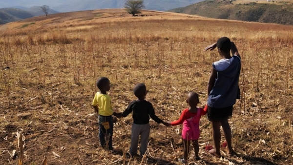 أخضر: كيف يؤثر تغير المناخ على القارة السمراء؟