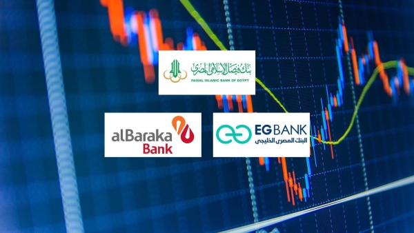 «فيصل الإسلامي» و«EGBANK» و«البركة» أكثر البنوك المدرجة تركيزًا على الاستثمارات المالية بنهاية مارس 2024