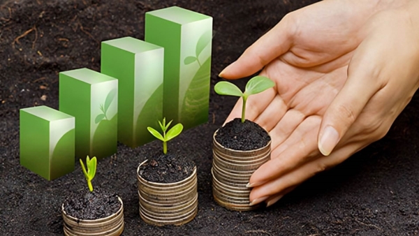 قاموس «First».. ما هو التمويل المستدام؟