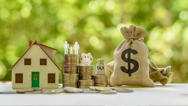 قاموس «First».. ما هي الأصول الرأسمالية؟