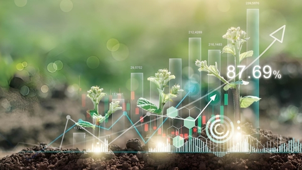 قاموس «First».. ما هي التعليمات الخاصة بالتمويل المستدام؟