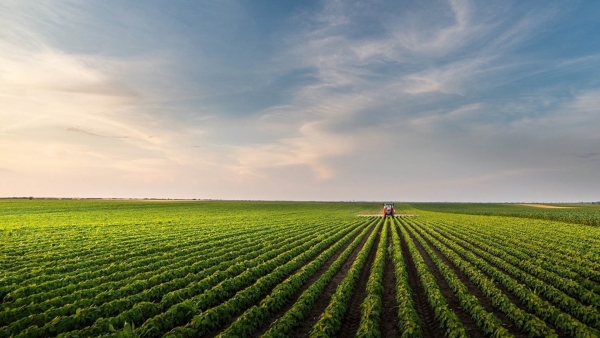أخضر: استصلاح 4 ملايين فدان.. نقلة نوعية نحو الزراعة المستدامة والأمن الغذائي في مصر