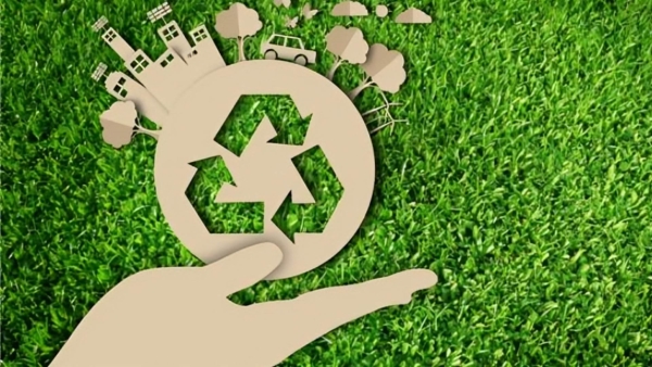 أخضر: من السياسات إلى الممارسات.. كيف نحقق استدامة فعّالة في عالم اليوم؟