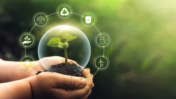 أخضر: التوازن بين الاستدامة الاقتصادية والنمو.. حلول مبتكرة للمستقبل