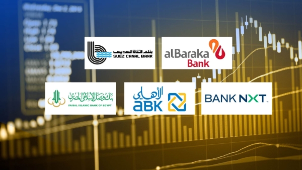 «البركة» و«قناة السويس» و«Bank NXT» أسرع بنوك القطاع الخاص نموًا في قروض الأفراد آخر 3 سنوات