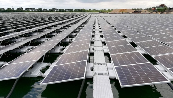 أخضر: أشعة الأمل.. كيف تقود مصر ثورة الطاقة الشمسية في الشرق الأوسط