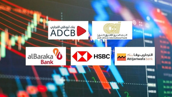 «العربي الإفريقي» و«ADCB» و«التجاري وفا» أسرع بنوك القطاع الخاص نموًا في الاستثمارات المالية آخر 3 سنوات