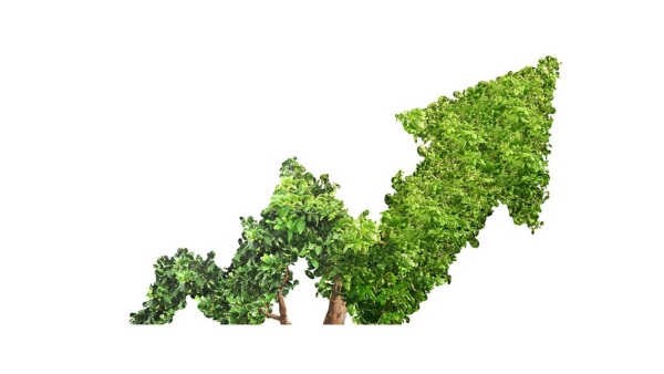 أخضر: ضغوط المناخ تشتد عالميًا.. ومعيار «SBTi» يرسم للبنوك طريق التحول الأخضر