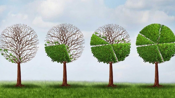 قاموس «First».. ما المقصود بـ اقتصاد الندرة؟