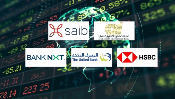 «العربي الإفريقي» و«saib» و«HSBC-Egypt» أكثر البنوك تركيزًا على التمويلات المشتركة بنهاية يونيو 2025
