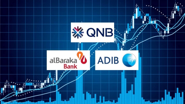 «QNB» مصر و«ADIB» و«البركة» أسرع البنوك المدرجة نموًا في التمويلات المشتركة خلال أول 9 أشهر 2025