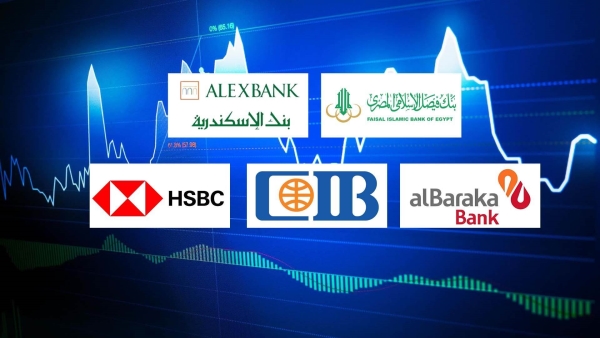 «فيصل الإسلامي» و«الإسكندرية» و«البركة» أكثر بنوك القطاع الخاص تركيزًا على ودائع الأفراد بنهاية يونيو 2025